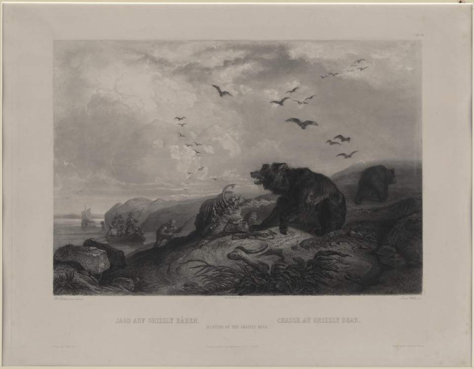 Jagd auf Grizzly Bären, Tableau, Karl Bodmer 