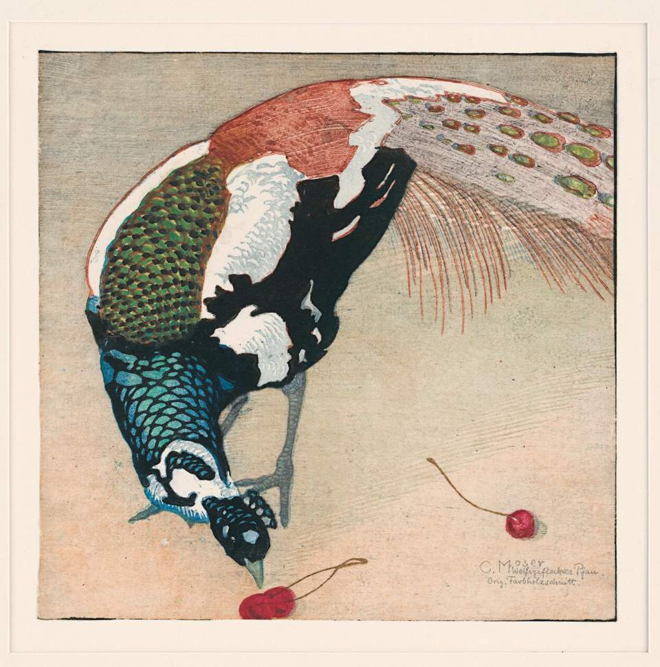 Farbholzschnitt "Weissgefleckter Pfau" (2. Fassung mit 3 Kirschen), 1906