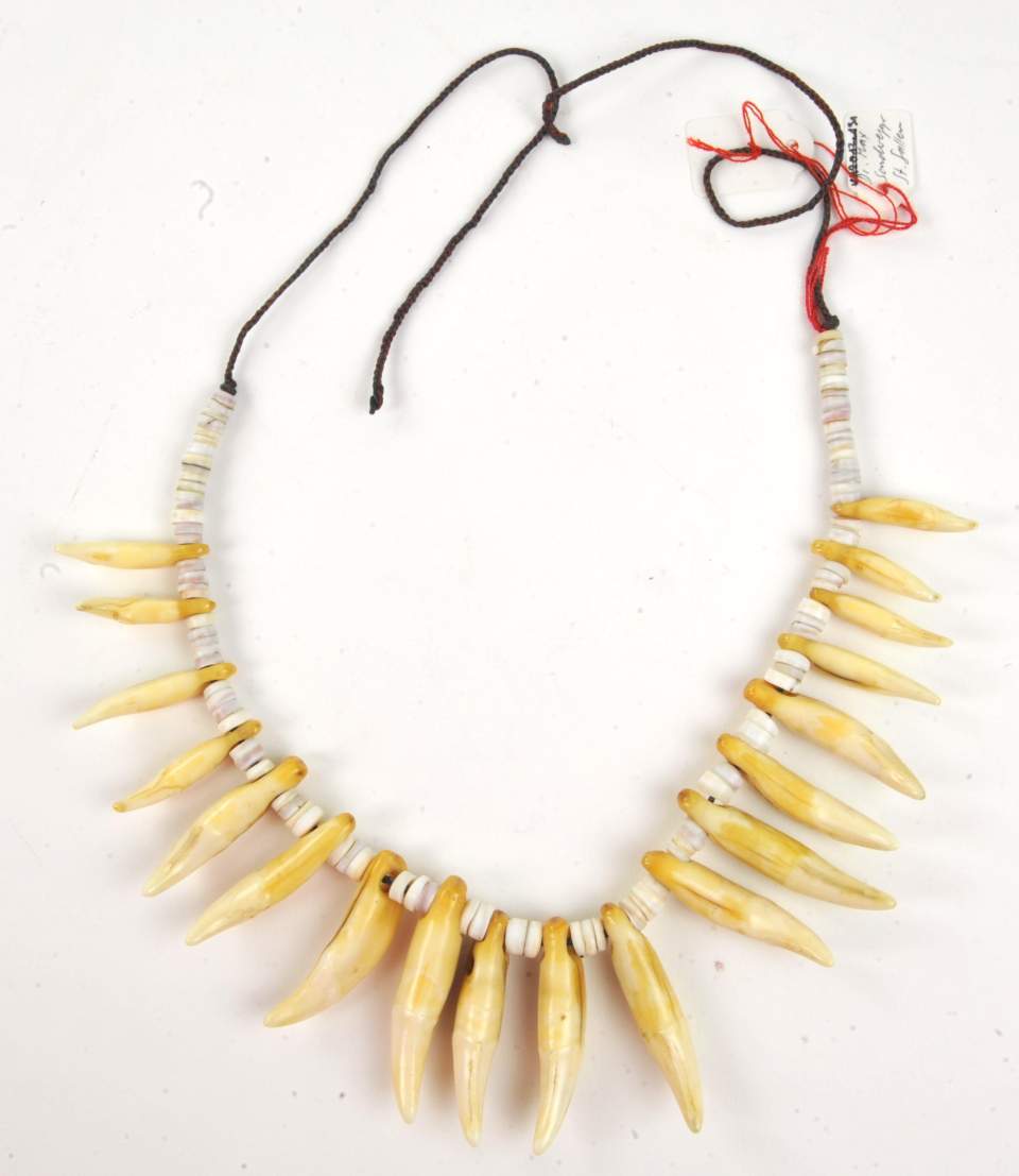 Kette aus Zähnen
