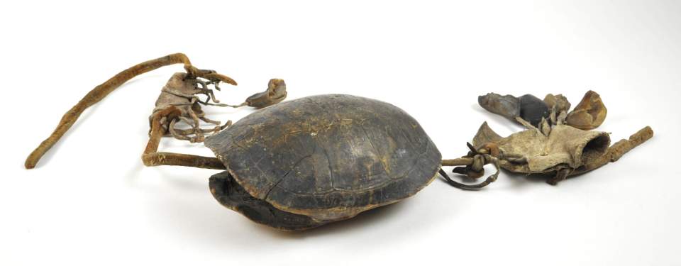 Schildkröten-Panzer mit Ledertasche, Rassel, Knierassel