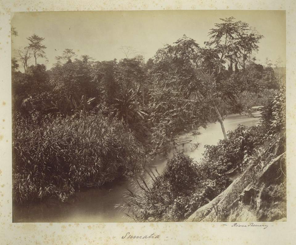 Fotografie Flusslauf auf Sumatra