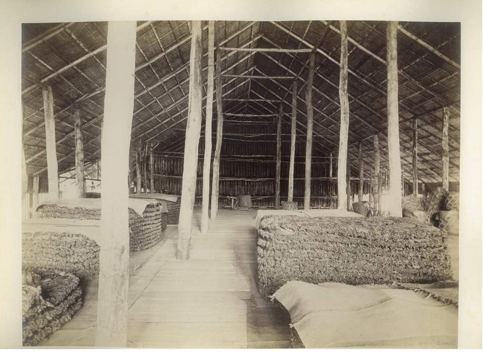 Fotografie Inneres einer Fermentierscheune für Tabak