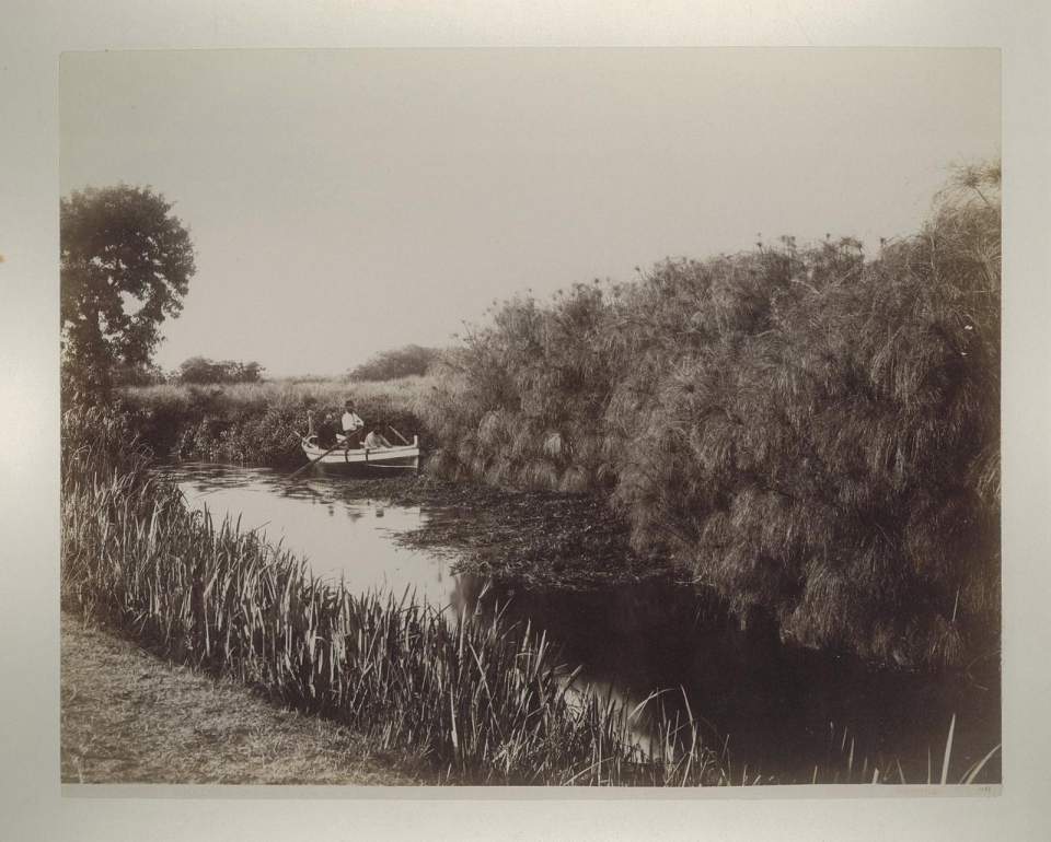 Fotografie Boot zwischen Papyrussträuchern, Syracus