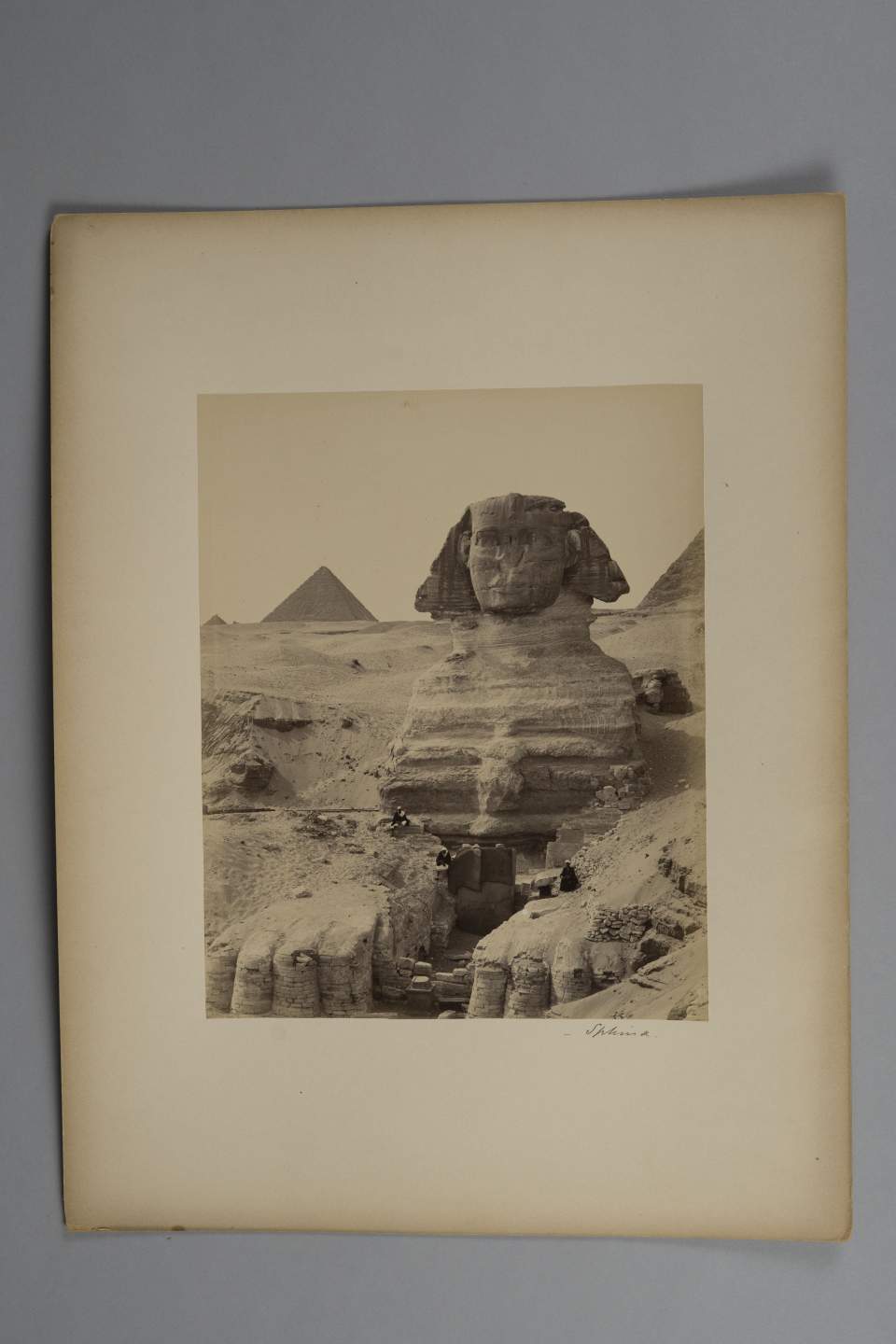 Fotografie Sphinx