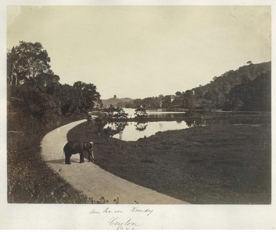 Fotografie, am See von Kandy, Ceylon