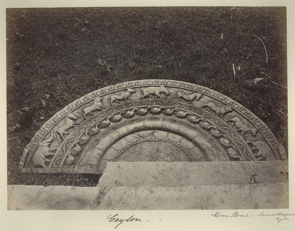 Fotografie Mondstein, Anaradhapura, Ceylon