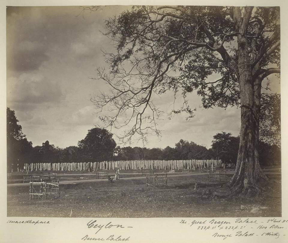Fotografie Bronze - Palast, Anaradhapura, ceylon