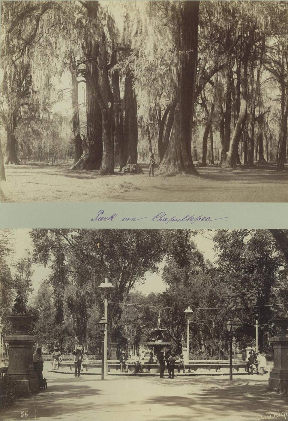 2 Fotografien, Park  Chapultepec, öffentlicher Garten, Mexiko