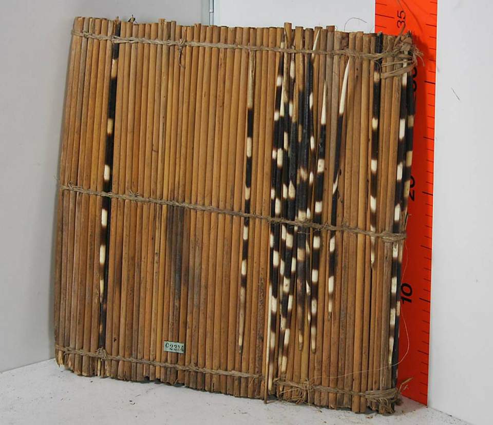 Tanzrassel Vilinda