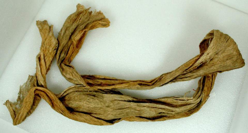 Schamgürtel