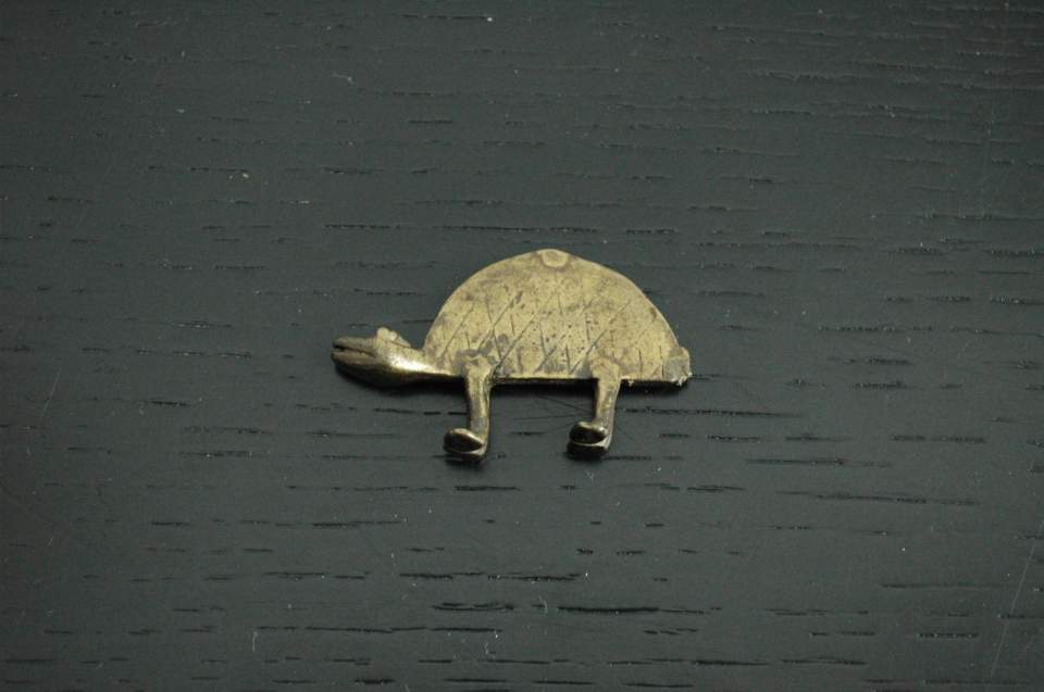 Goldgewicht Schildkröte