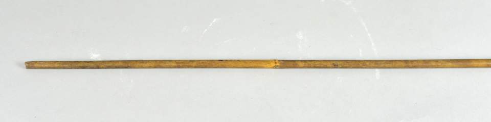 Fischpfeil (Harpune)