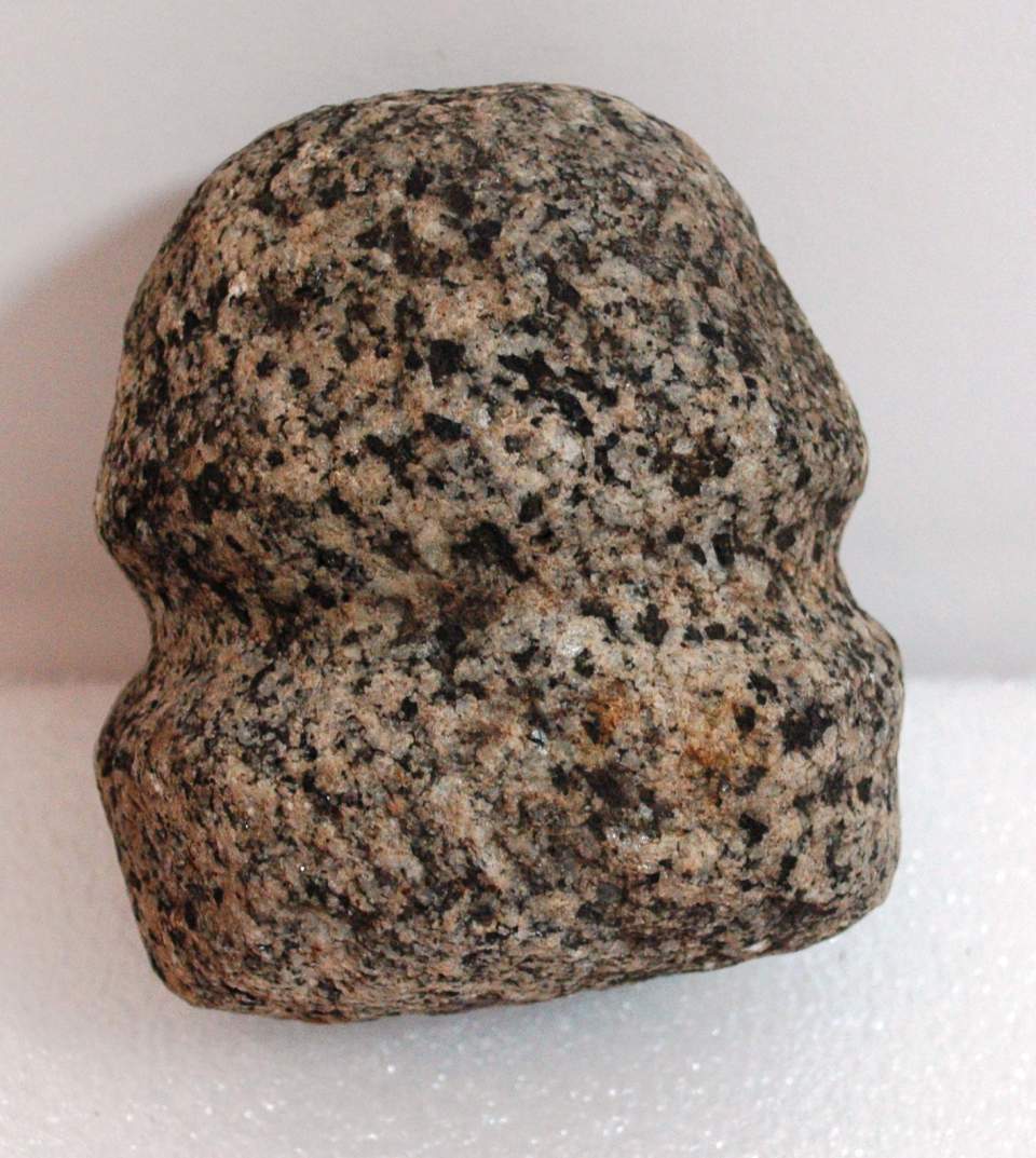 Hammerkopf