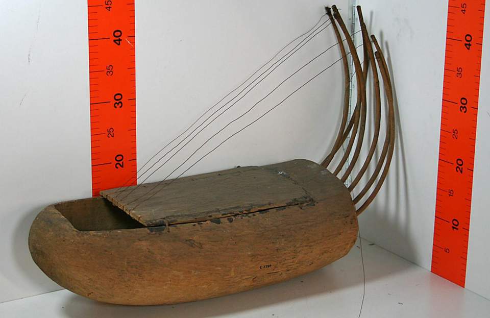 Musikinstrument, Saiteninstrument
