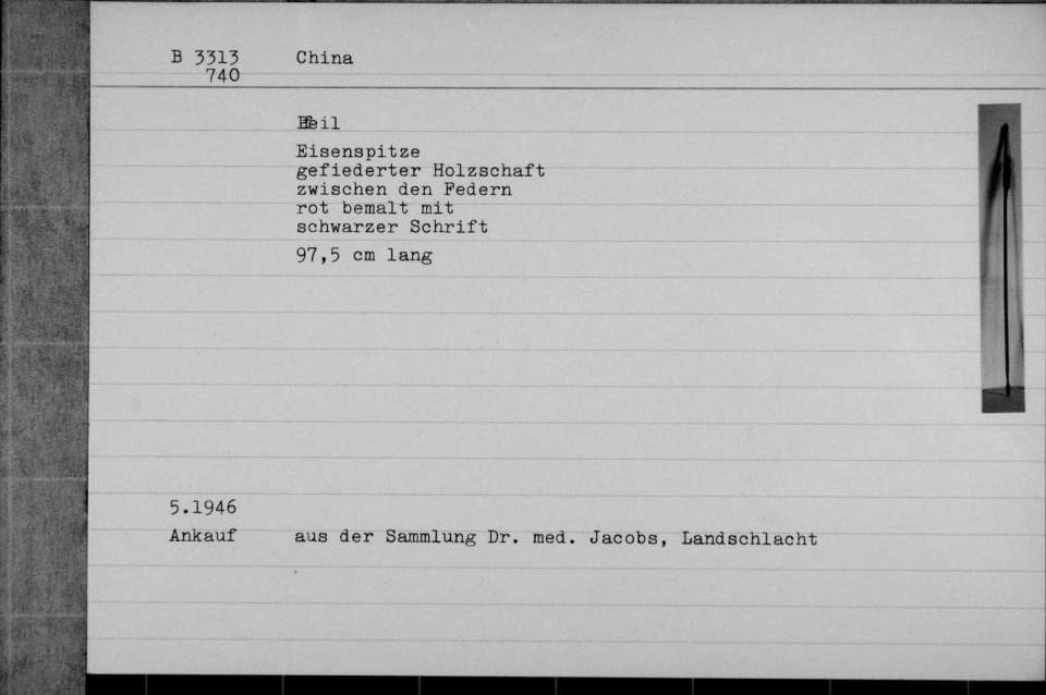 Chinesischer Pfeil