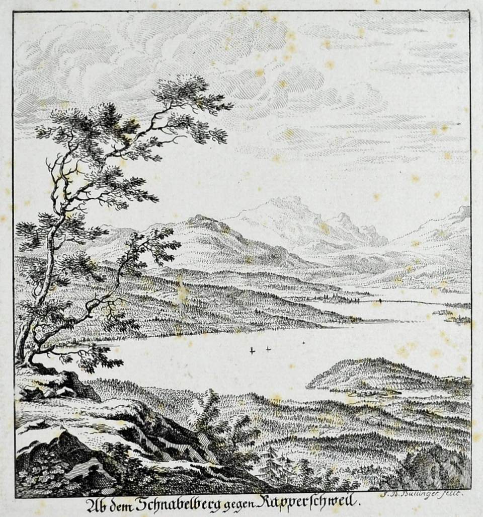 Bild vom Albis (Schnabelberg) gegen den oberen Zürichsee