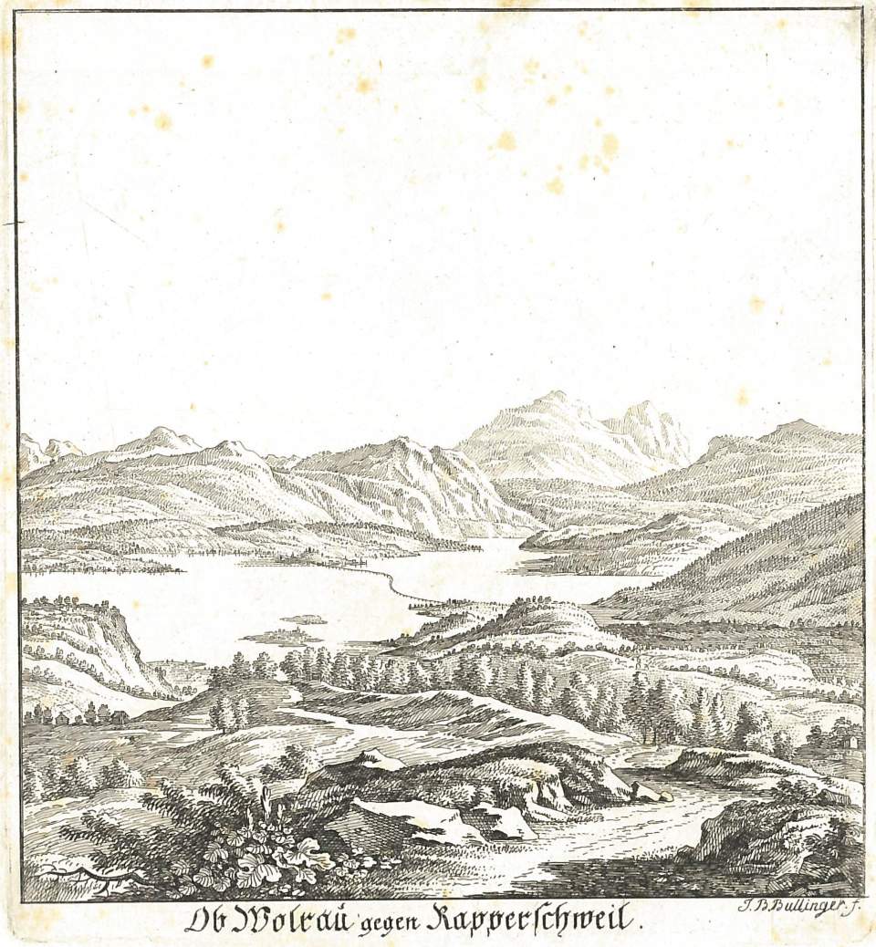 Bild von oberhalb Wollerau gegen Rapperswil