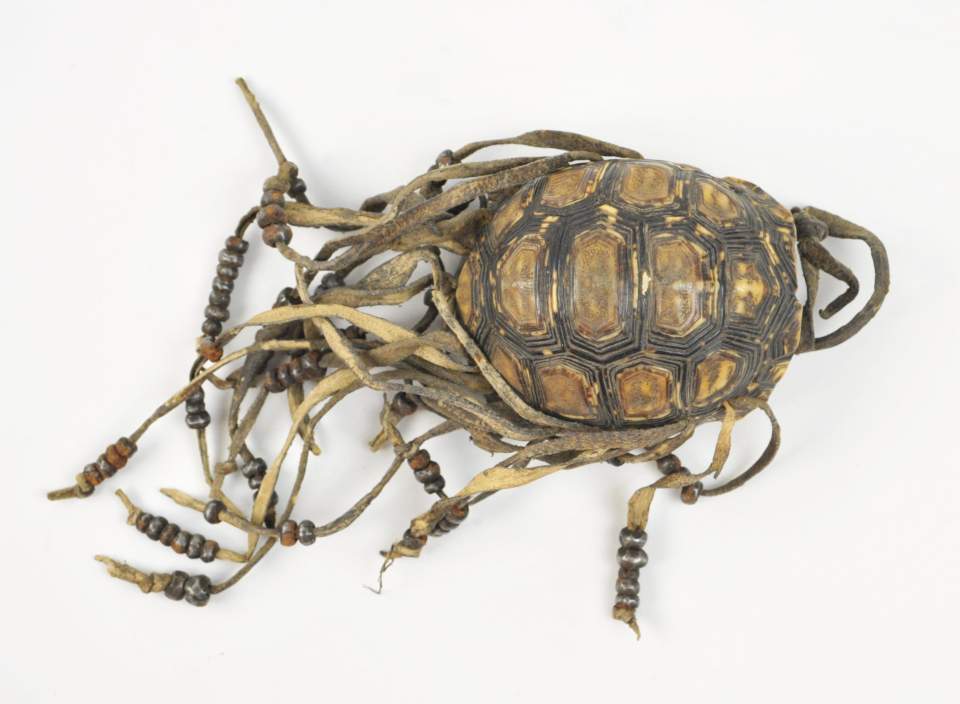 Buchu-Büchse