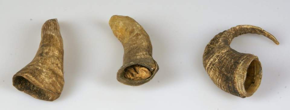 7 Tierhörnchen (4 fehlen)