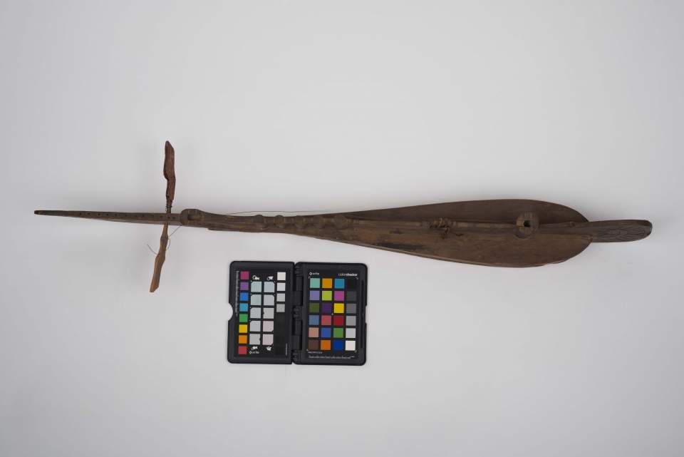 Saiteninstrument