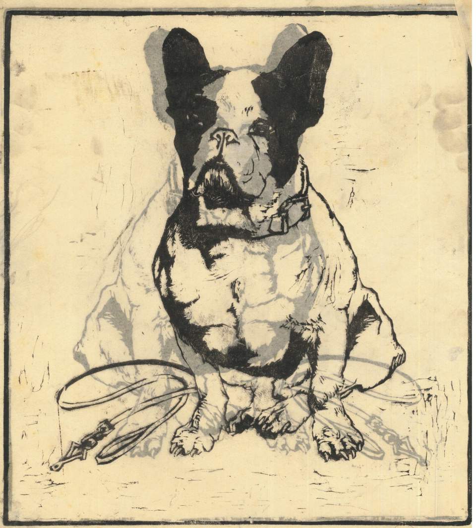 Farbholzschnitt "Französische Bulldogge"