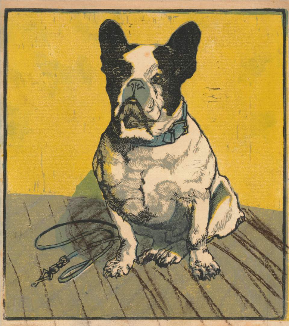 Farbholzschnitt "Französische Bulldogge"