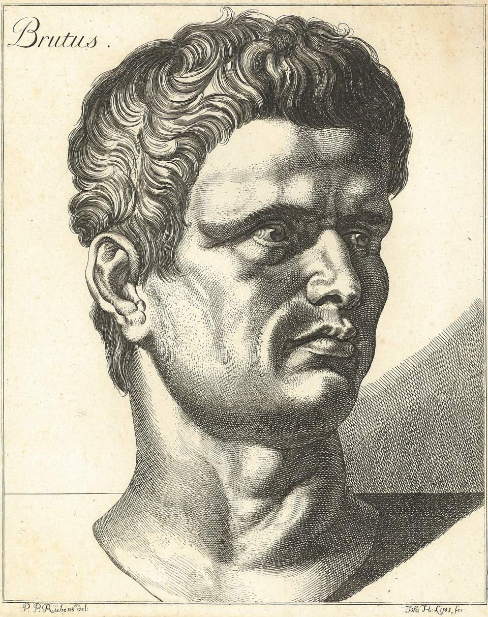 Porträt  Brutus