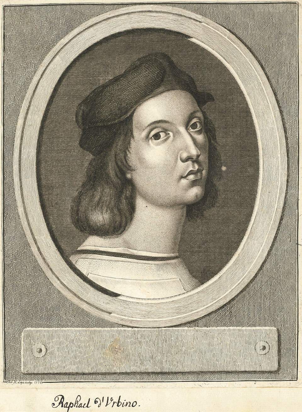 Porträt  Raphael D'Urbino