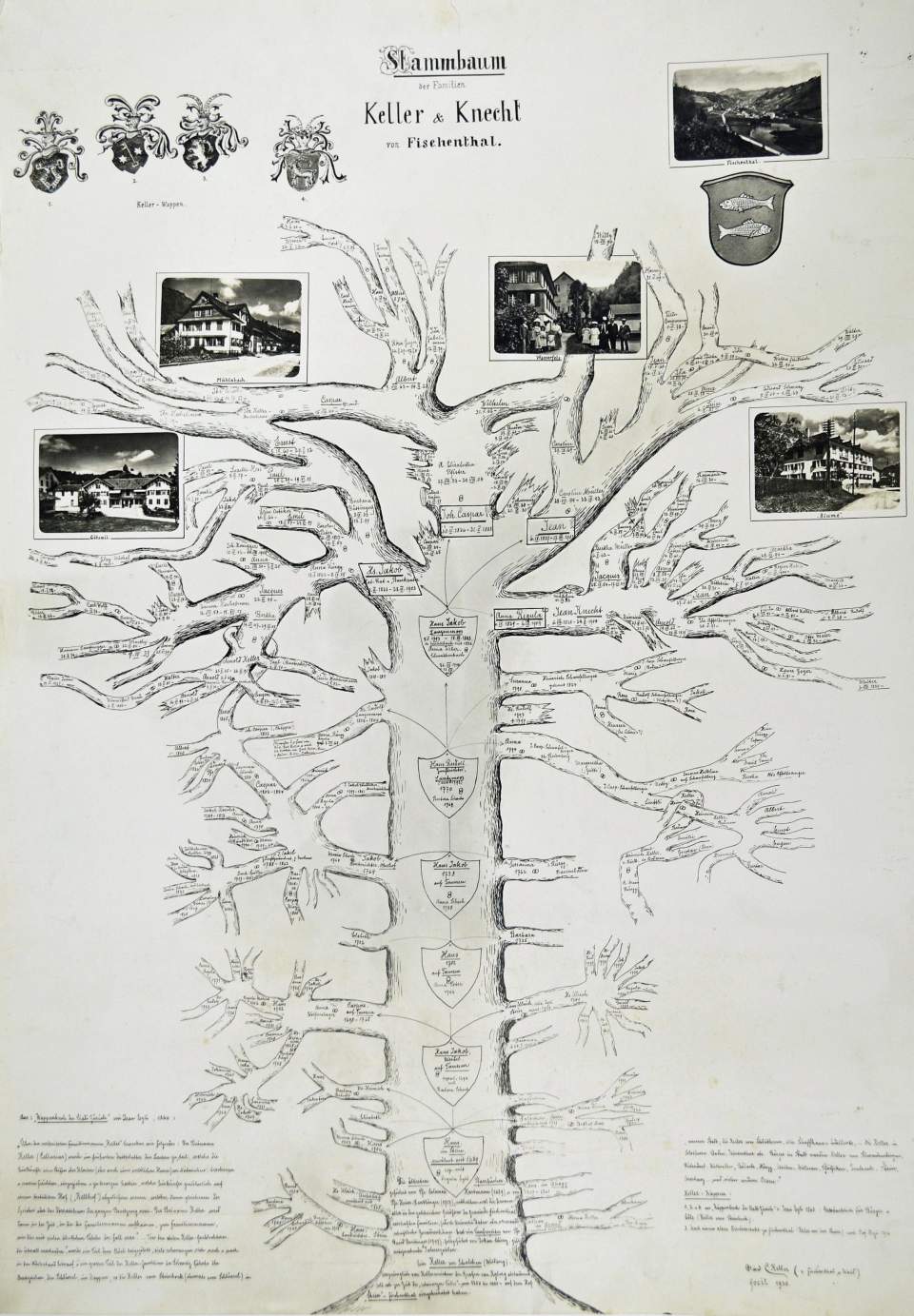 Stammbaum der Familien Keller & Knecht von Fischenthal, 1930