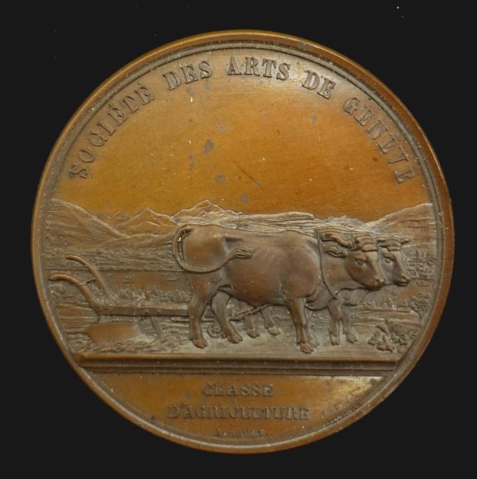 Medaille Genfer Kunstgesellschaft