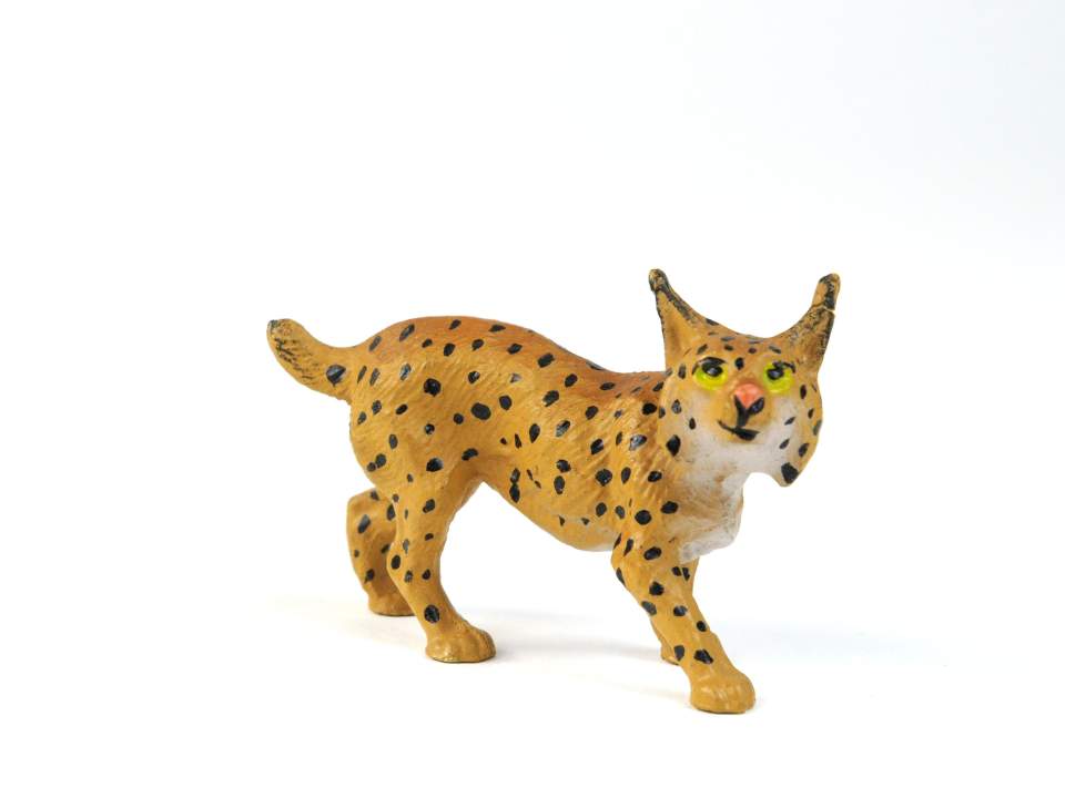 Zoo-Modell: Luchs