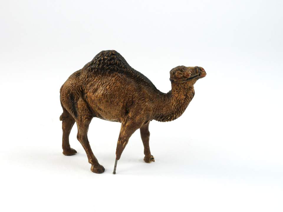 Zoo-Modell: Dromedar