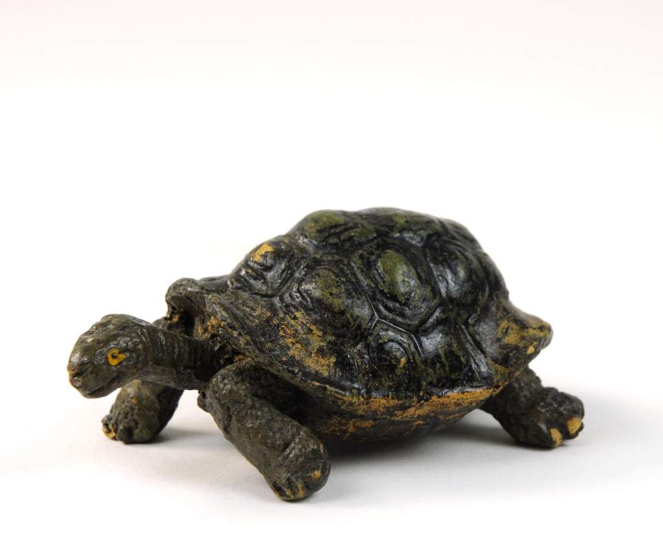 Zoo-Modell: Schildkröte