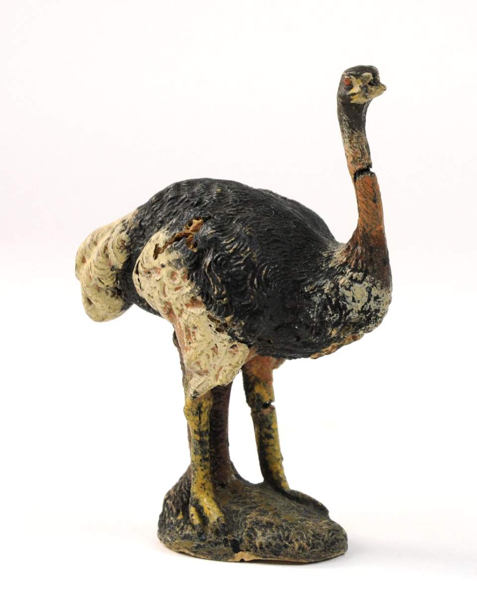 Zoo-Modell: Strauss