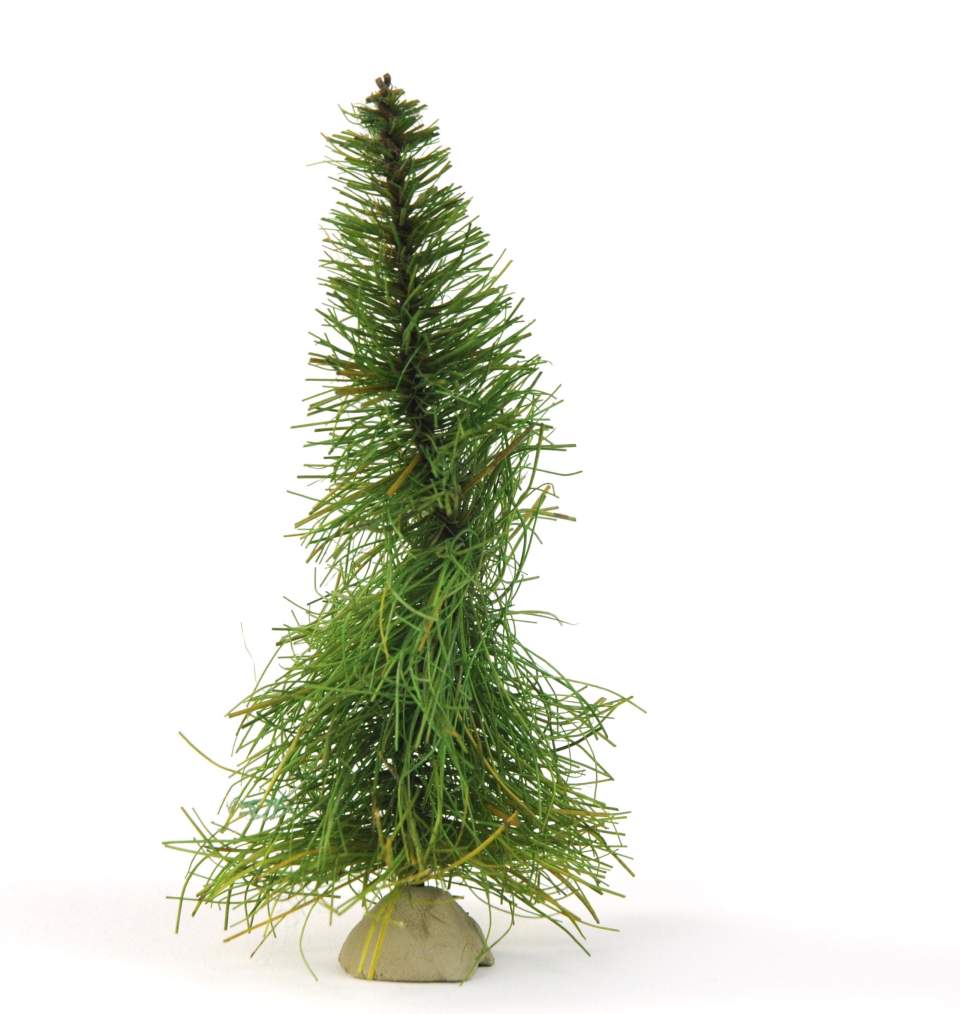 Zoo-Modell: Tannenbaum