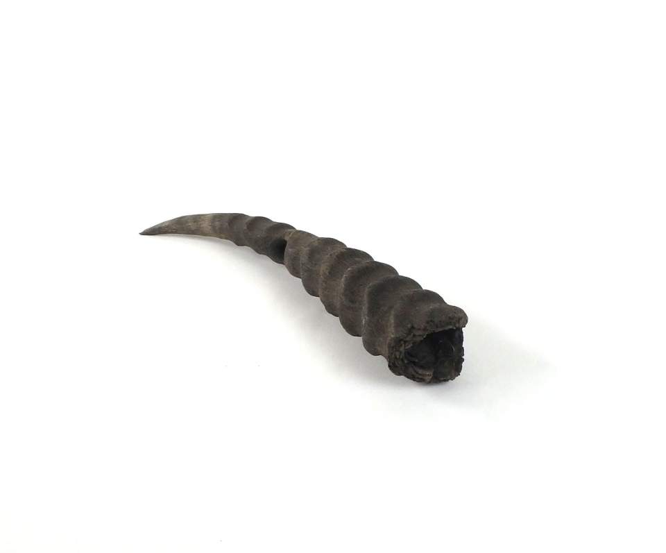 Trompete, Signalhorn