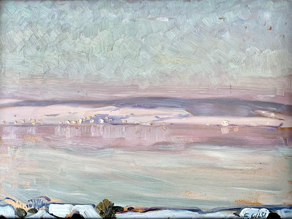 Zürichsee im Winter