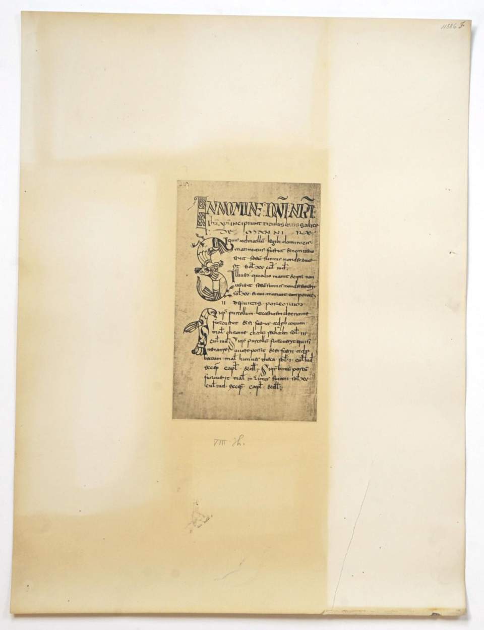 Schriftprobe, Schrift des 8. Jh. Ableitung der Merowingischen