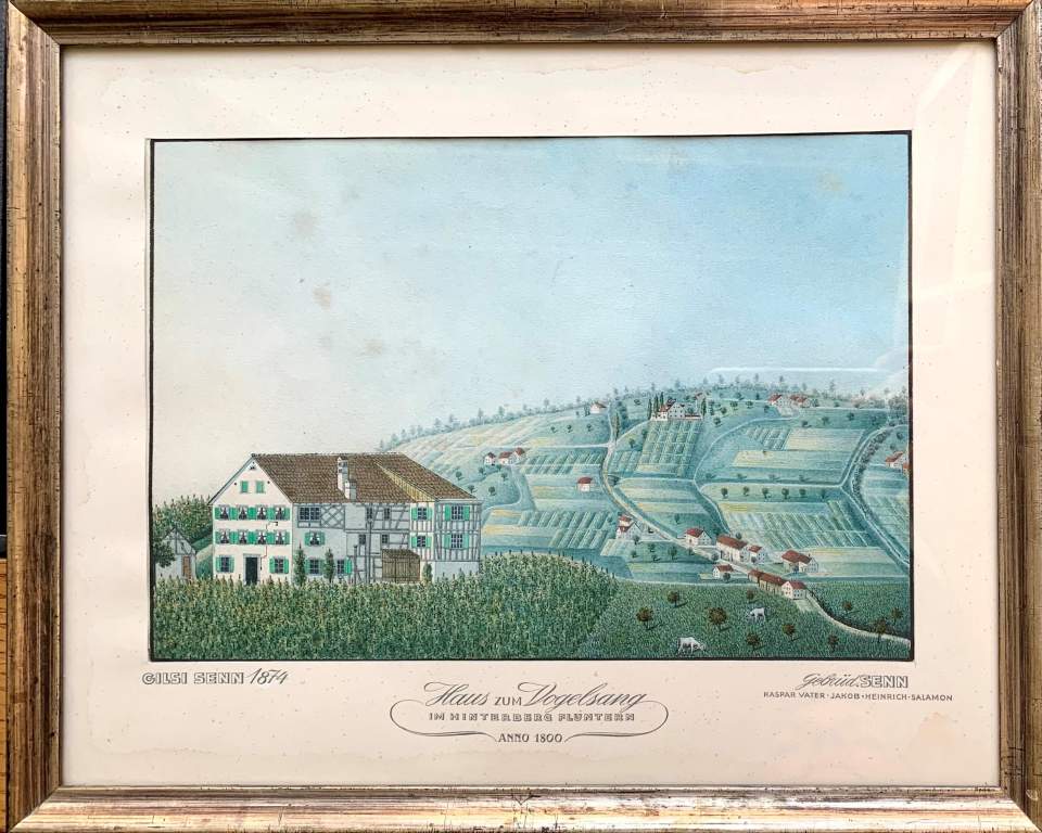 Haus zum Vogelsang im Hinterberg Fluntern anno 1800