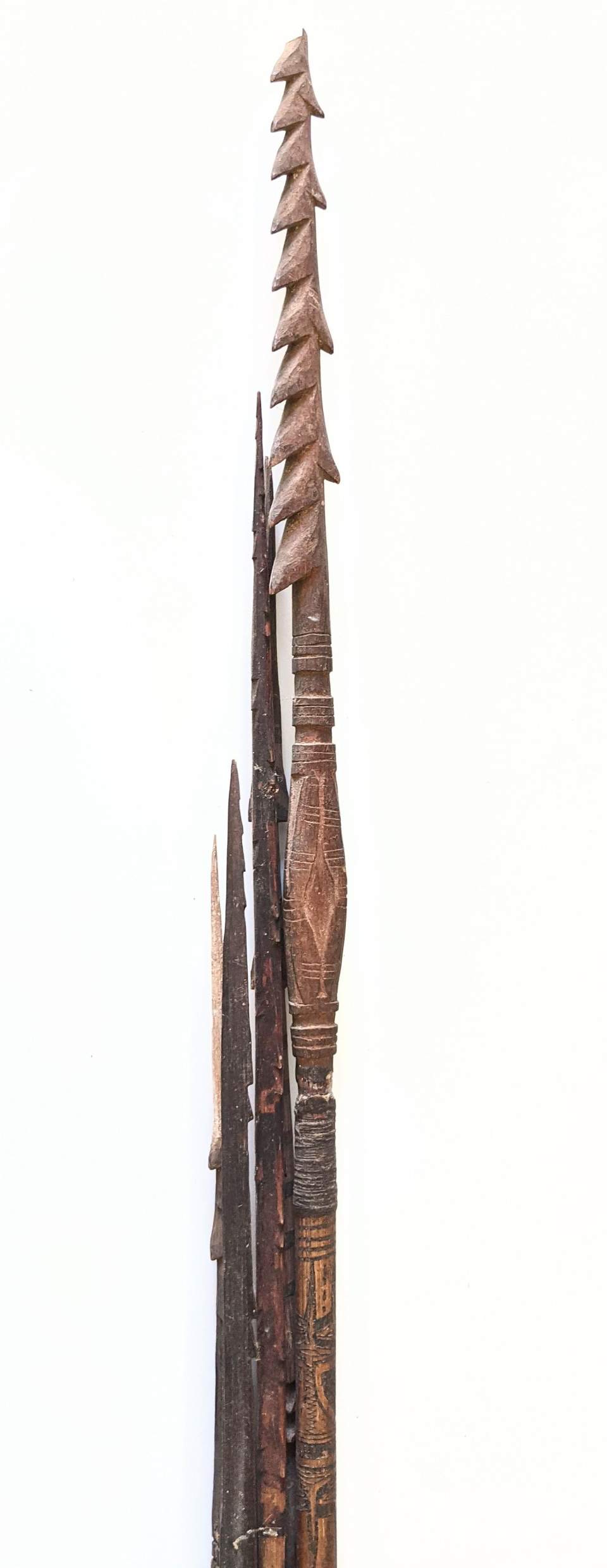 Pfeilbündel (6)
