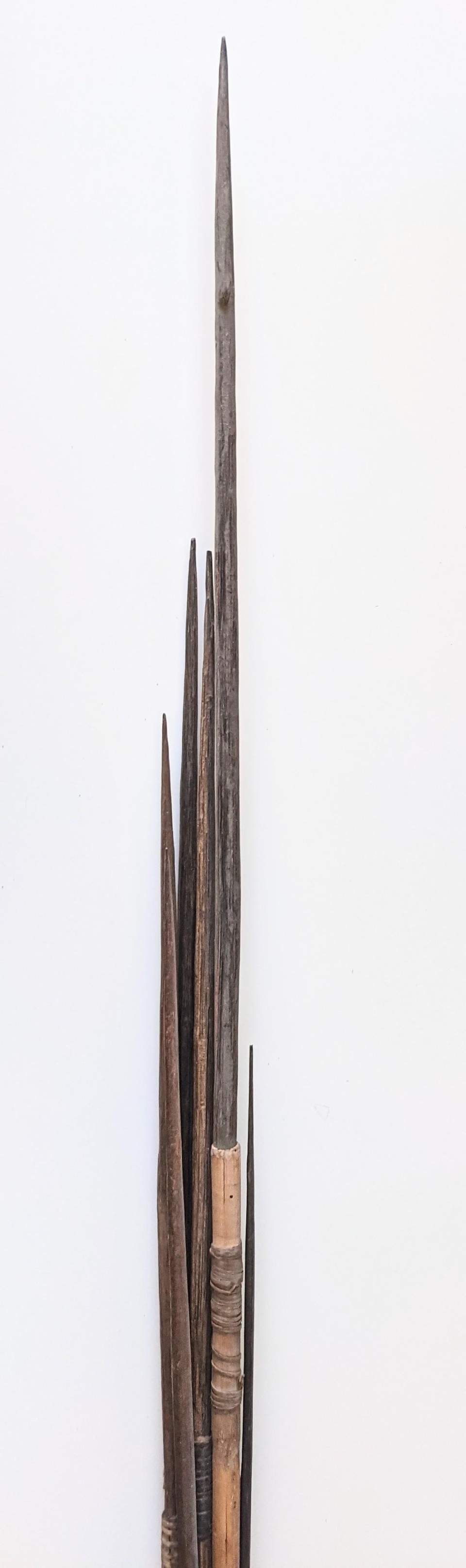 Pfeilbündel (10 Stück)