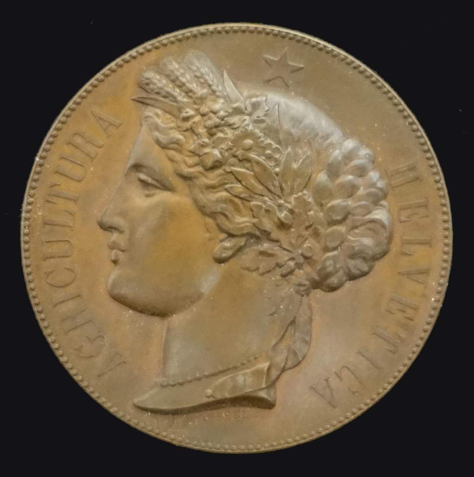 Medaille Schweiz. Landwirtschaftl. Ausstellung in Zürich
