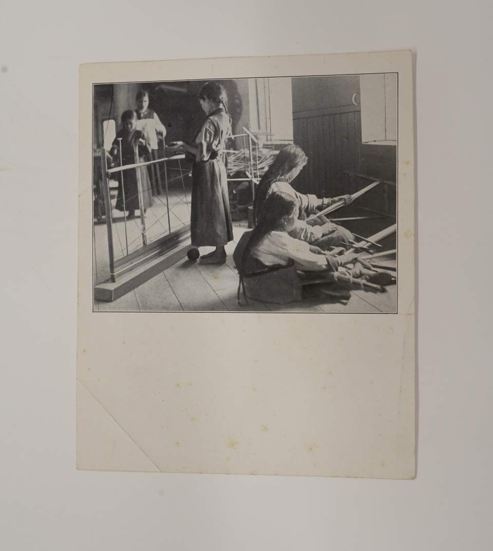Fotografie