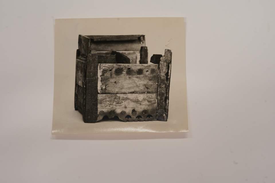 Fotografie