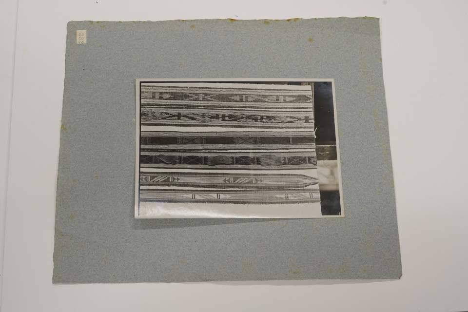 Fotografie