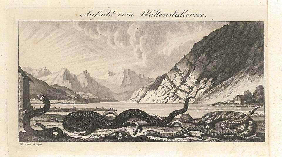 Ansicht Walensee