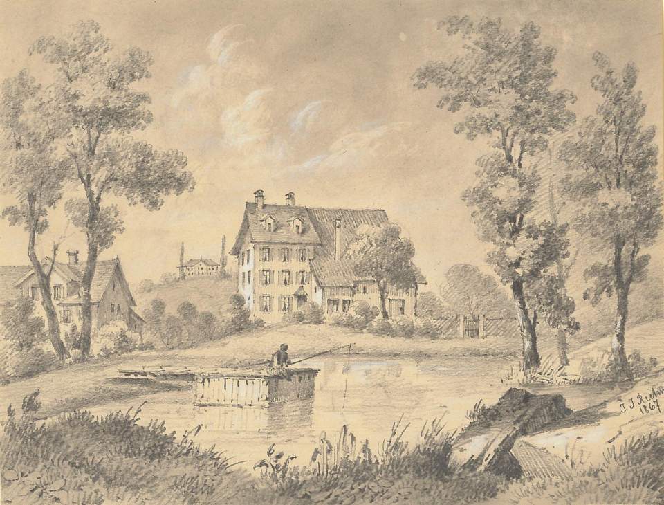 Nestweiher St.Gallen