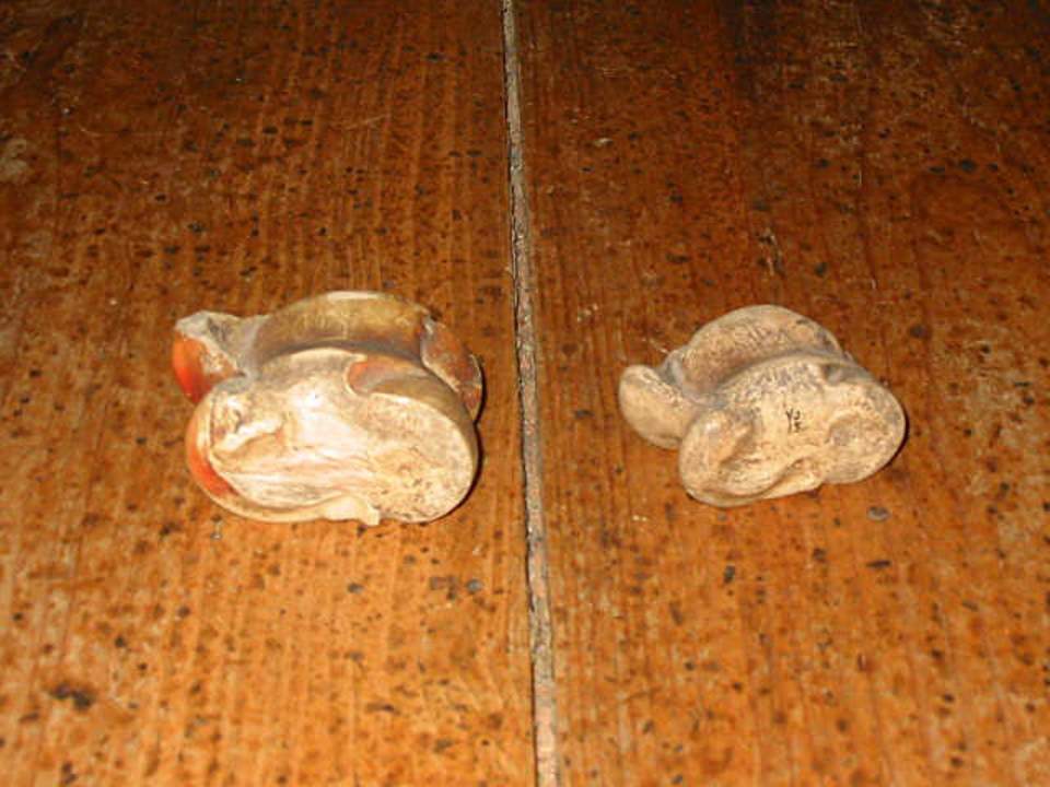 2 Beinkühe